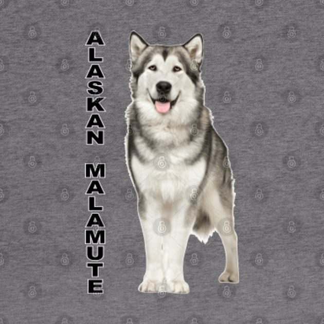 Alaskan Malamute by Vladimir Zevenckih